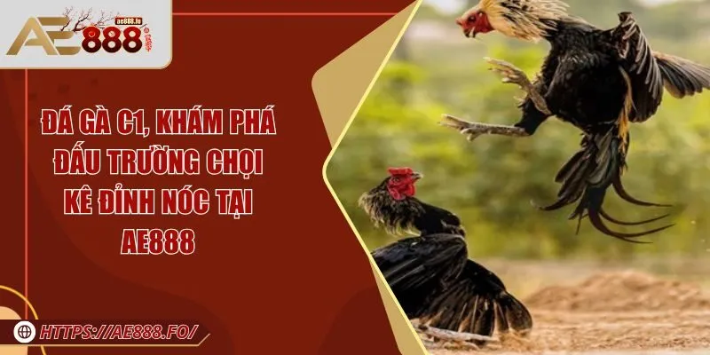 đá gà C1